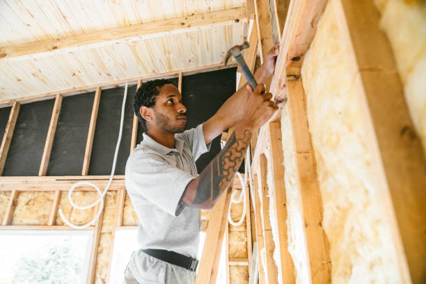 Best Insulation for New Construction  in University Gardens, NY